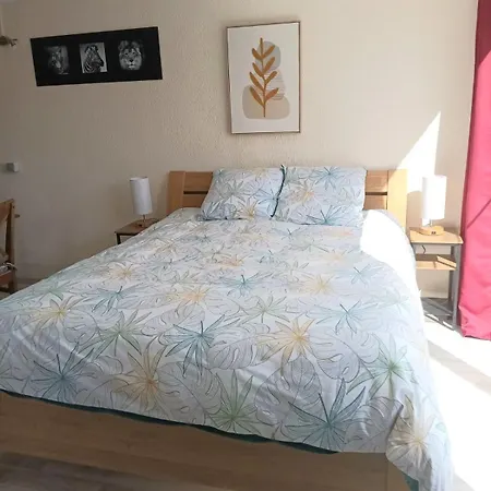 3 Studios - 3 Ambiances - Tout Confort - Piscine Ouvert En Juillet Aout Han-sur-Lesse Room photo
