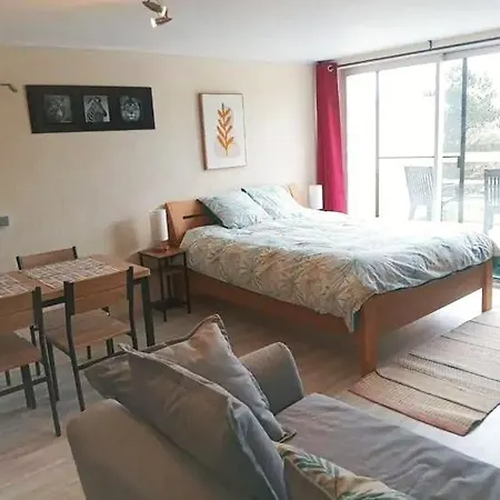 3 Studios - 3 Ambiances - Tout Confort - Piscine Ouvert En Juillet Aout Han-sur-Lesse Exterior photo