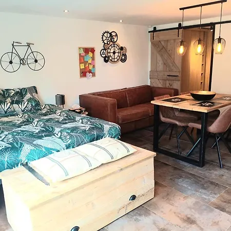 3 Studios - 3 Ambiances - Tout Confort - Piscine Ouvert En Juillet Aout Han-sur-Lesse Room photo
