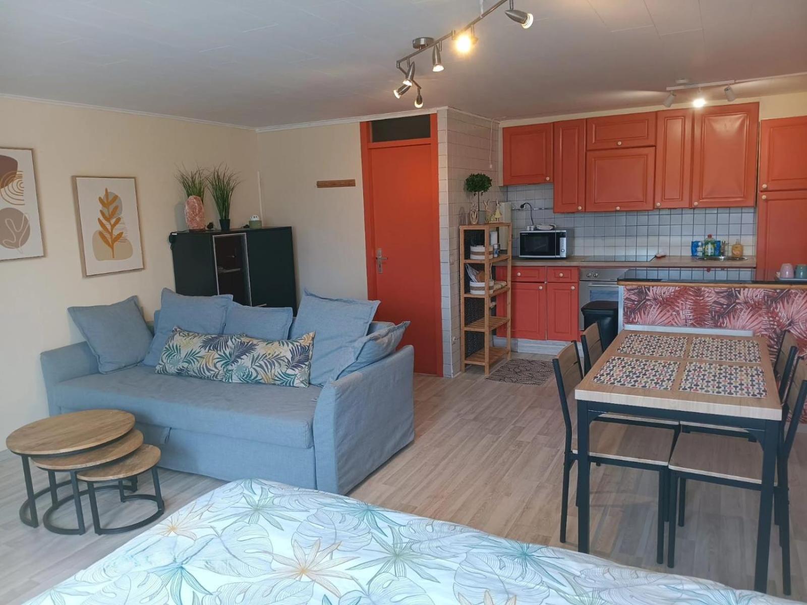 Apartment 3 - 3 Ambiances - Confort - Piscine Ouvert En Juillet Aout *