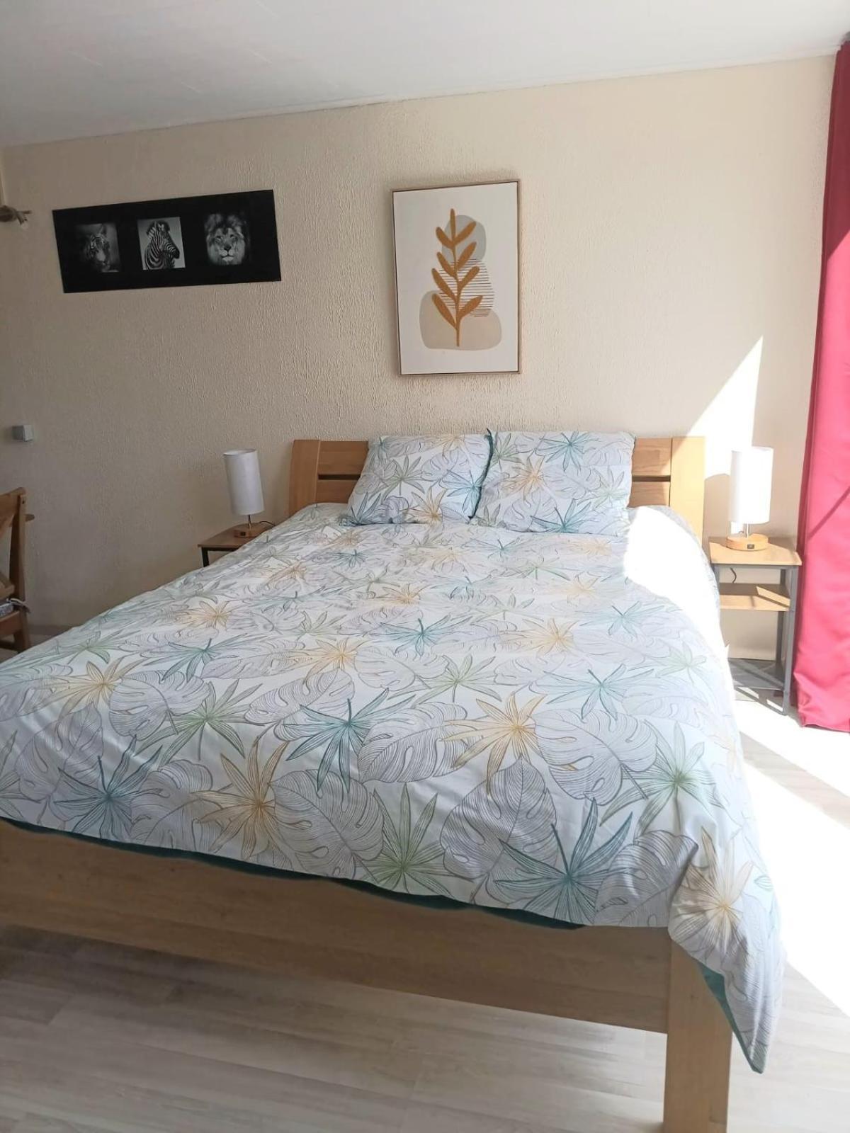 Apartment 3 - 3 Ambiances - Confort - Piscine Ouvert En Juillet Aout Han-sur-Lesse